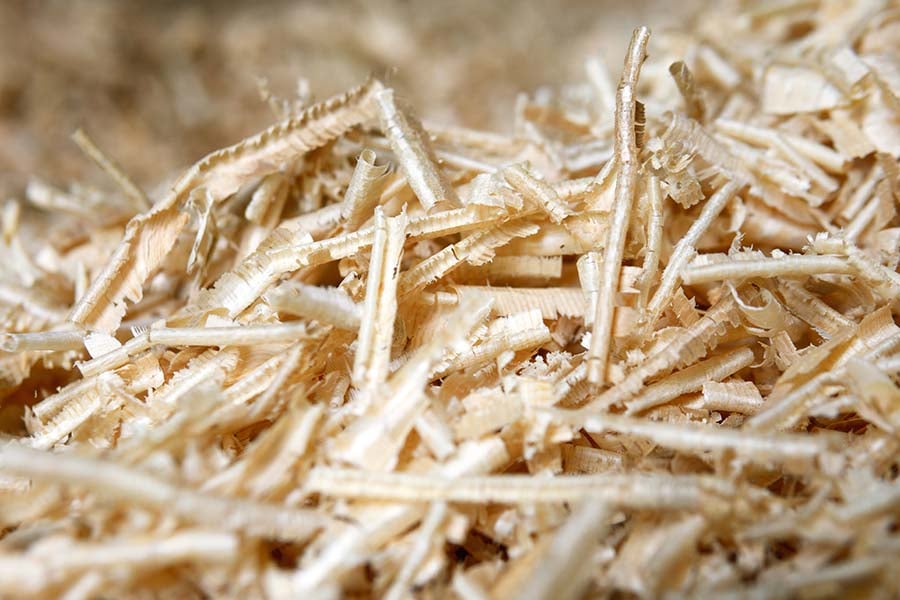 wood-chips-pulp-fiber-biofuel-biomass