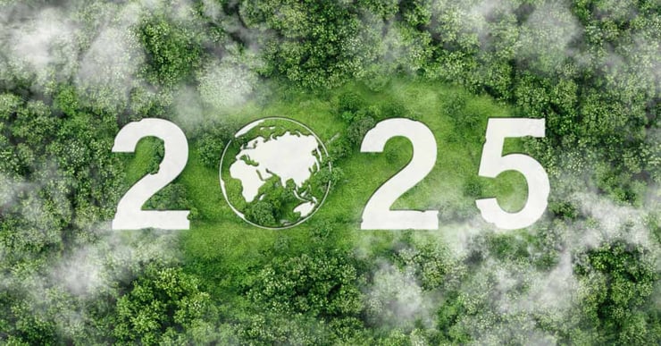 Overhead shot of woods with 2025 in white text and the zero an image of the earth.