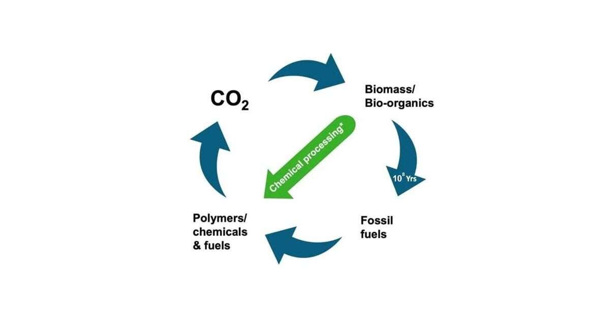 biobased-blog-featured-sustainability
