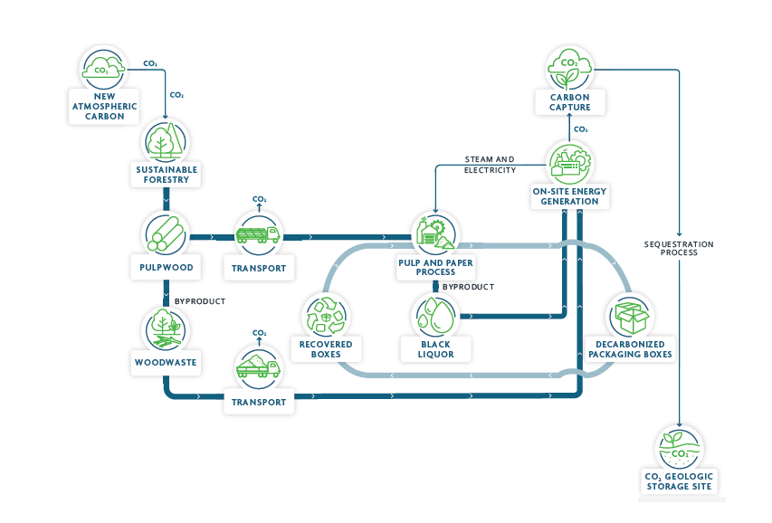 Infographic of the carbon cycle from atmospheric carbon to geologic storage