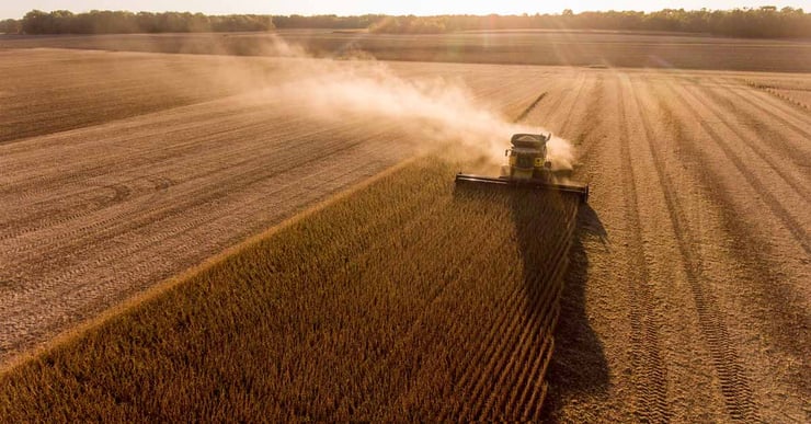 A soybean field being harvested by a tractor for biofuel in the US Midwest.