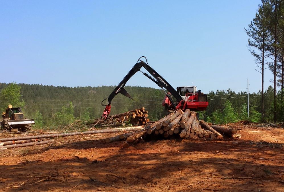 Tax Tips for Timberland Owners: Maximizing Your Deductions