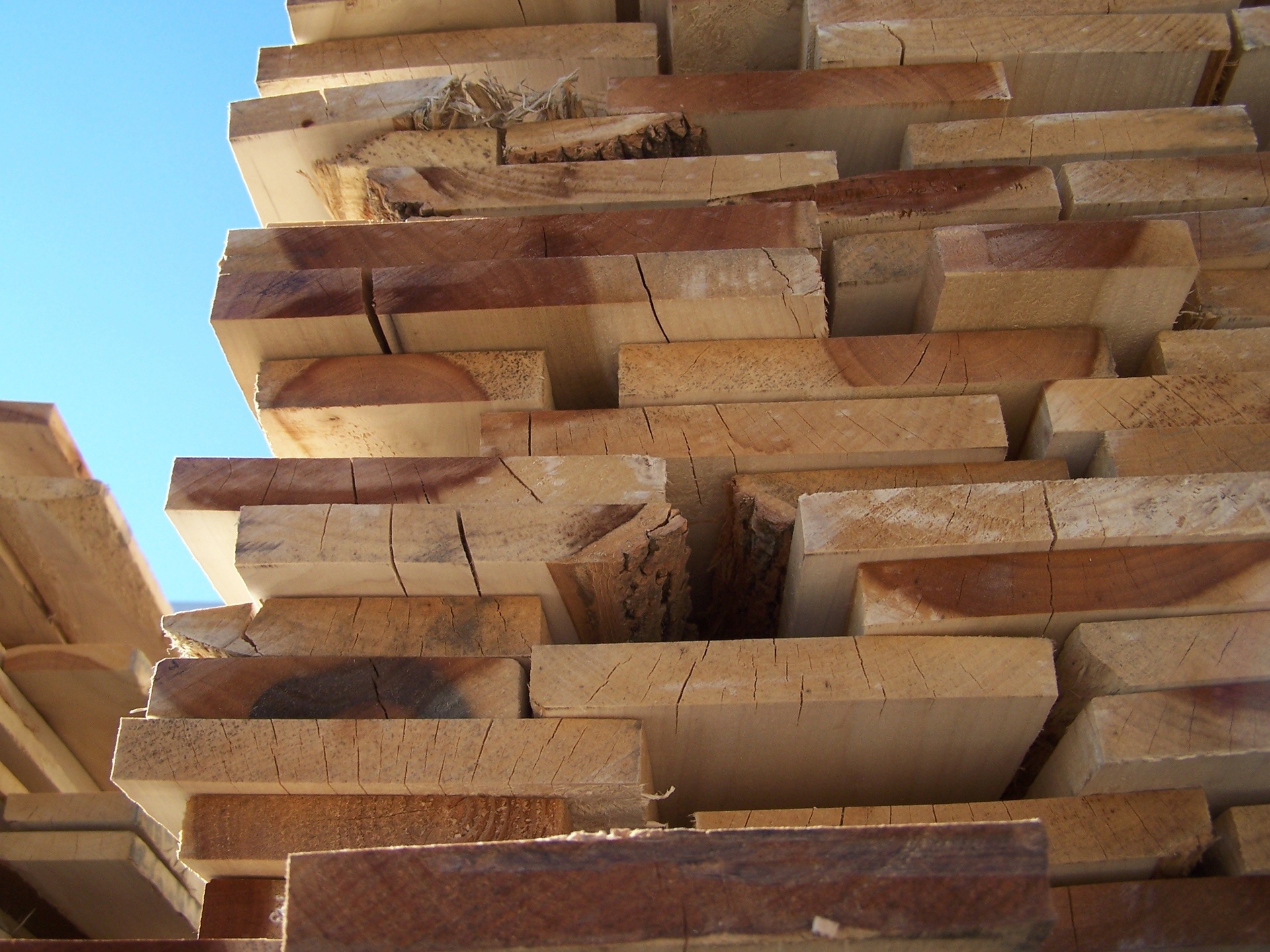 Global Softwood Lumber Trade Down in Early 2022