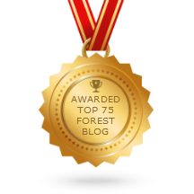 Forest2Market Ranked #30 in List of Top 75 Global Forest Blogs