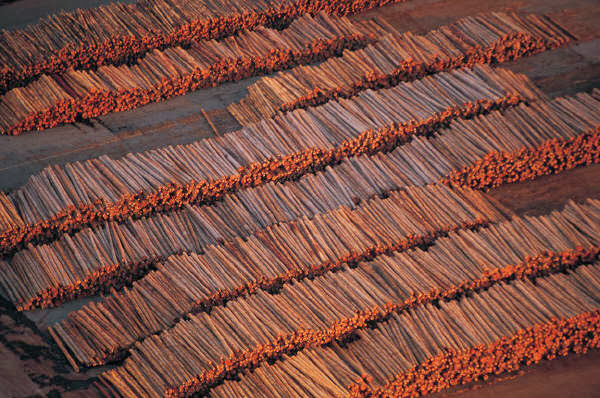 PiiMega Adds Forest2Market Data Export Module to PiiMega® ForestPro and TimberPro