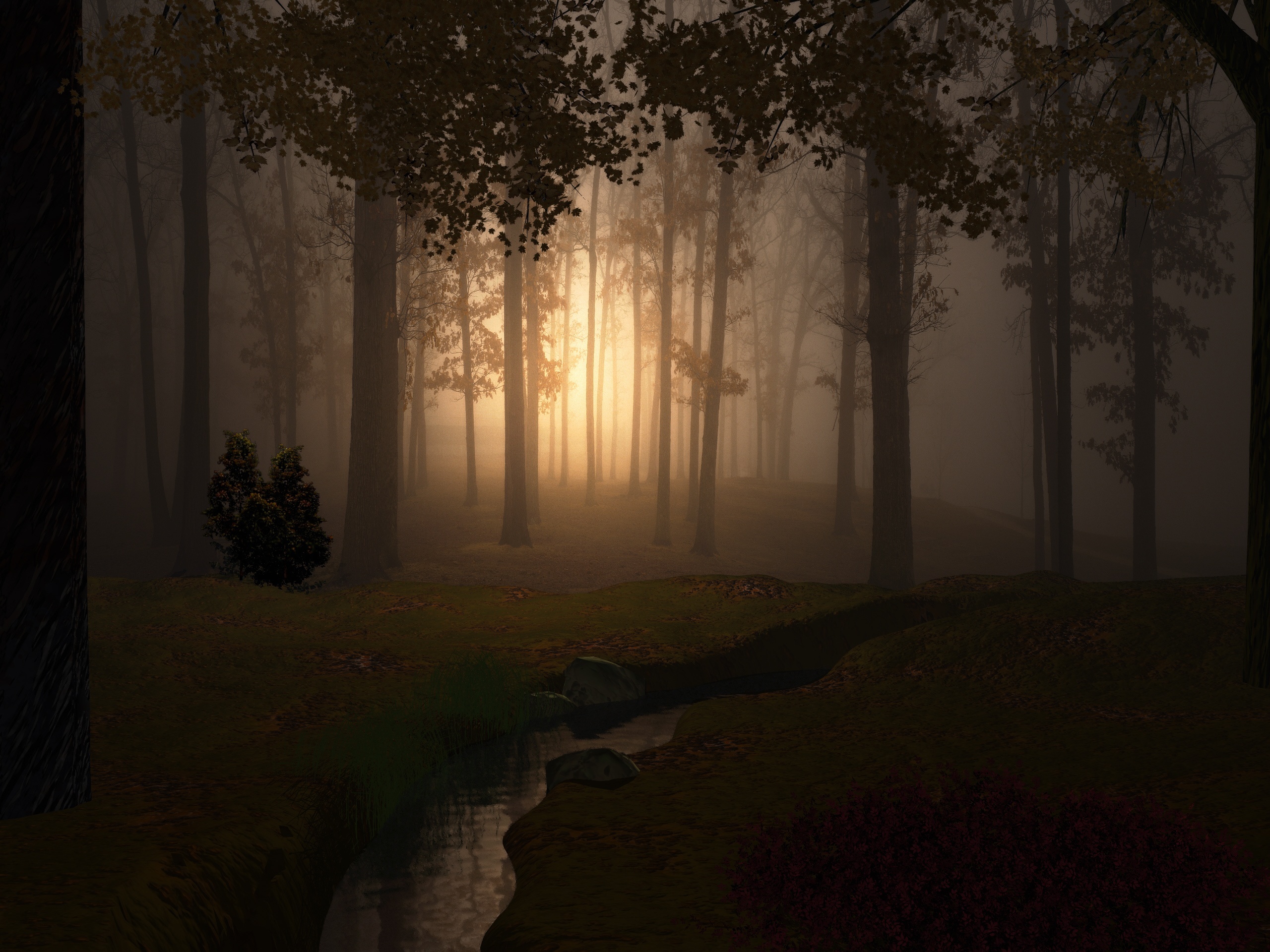 fantasy_forest-1.jpg