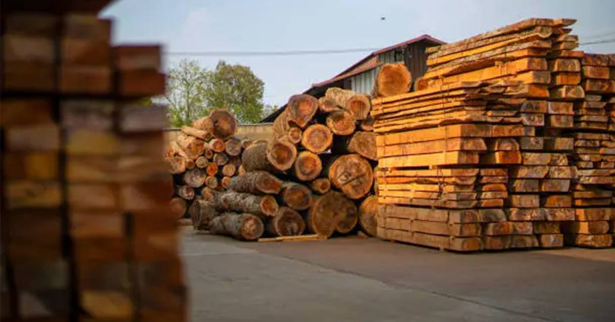 North American Lumber Market Outlook: What’s Shaping the Industry Right Now