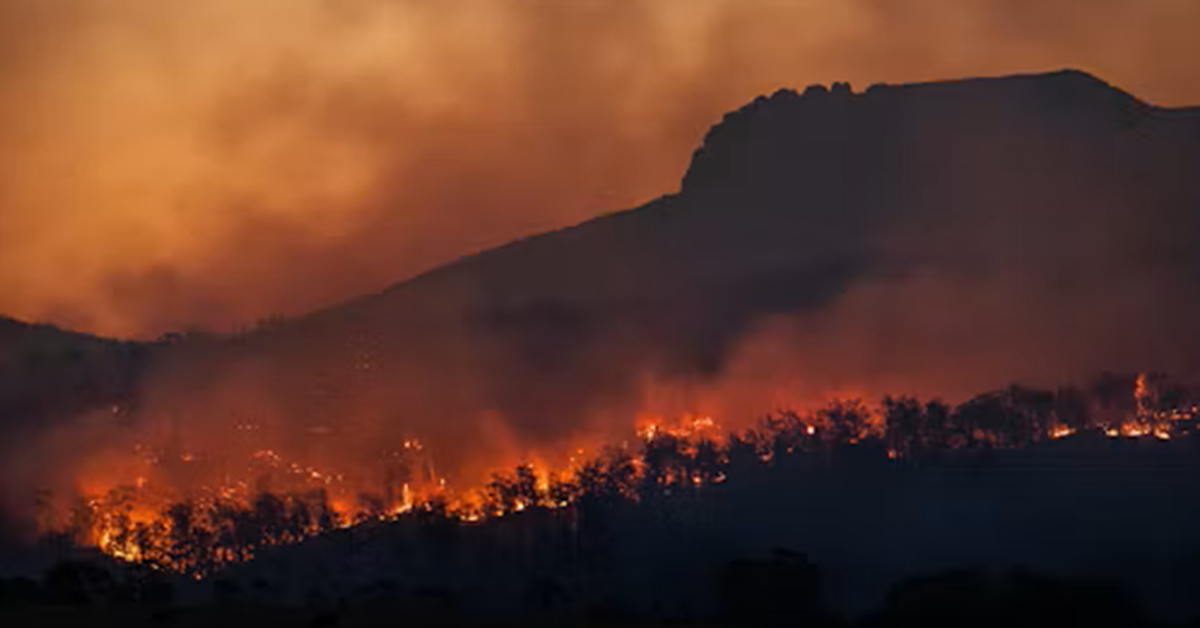 How Could Indonesia’s Wildfires Affect Pulp and Paper Supply?