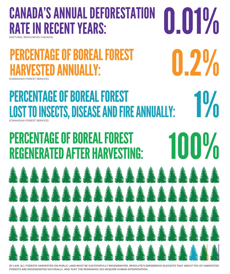 Boreal_Forest_Infographic.jpg
