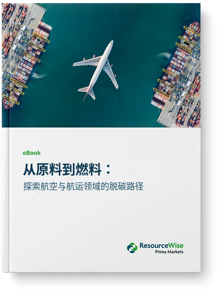 E-Book_From_Feedstock_to_Fuel_CN