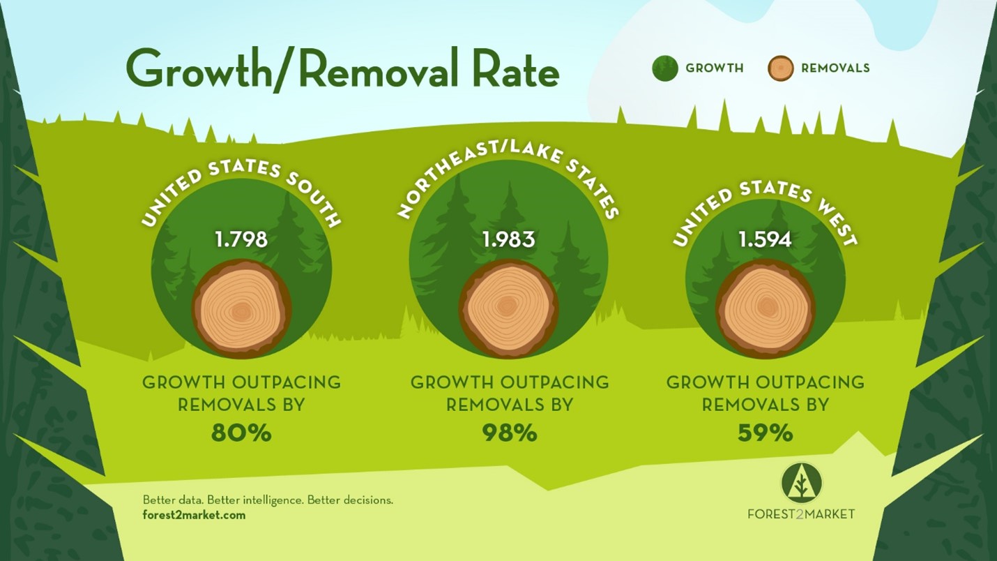 Understanding Forest Inventory & the Importance of Working Forests