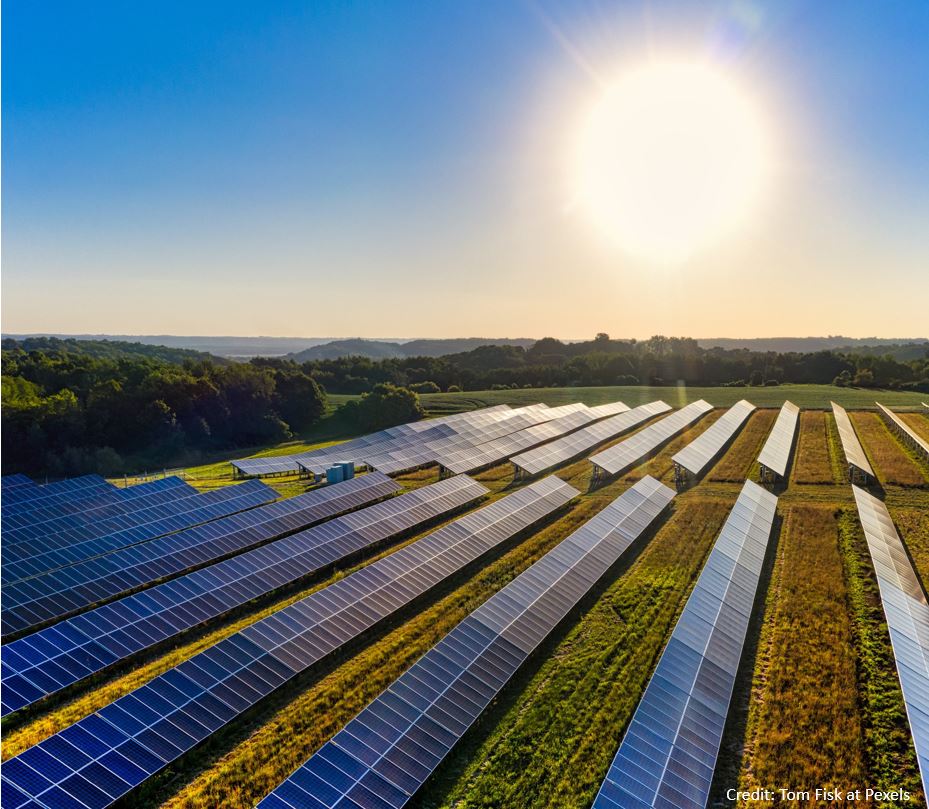 Solar energy boom sparks EVA capacity expansions