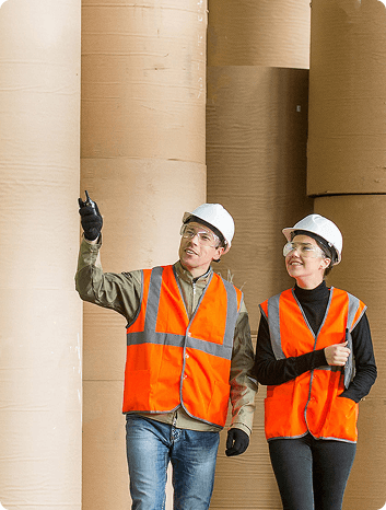 Inspecting wood
