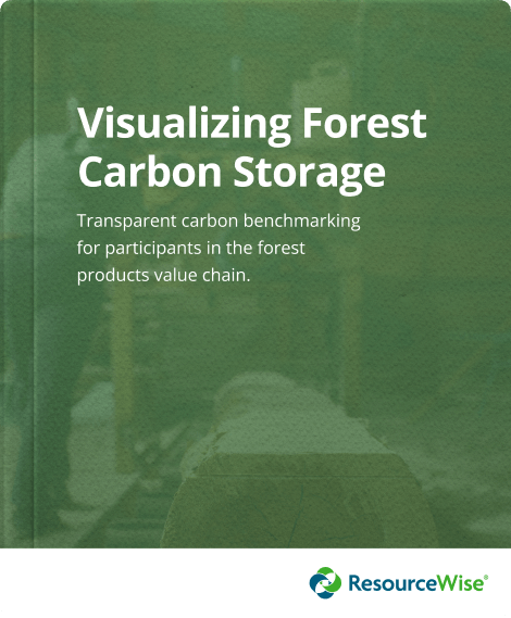 Visualizing Forest Carbon Storage