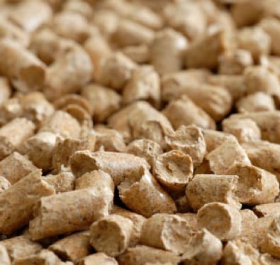 European Parliament Recognizes Primary Woody Biomass as a Renewable Energy Source