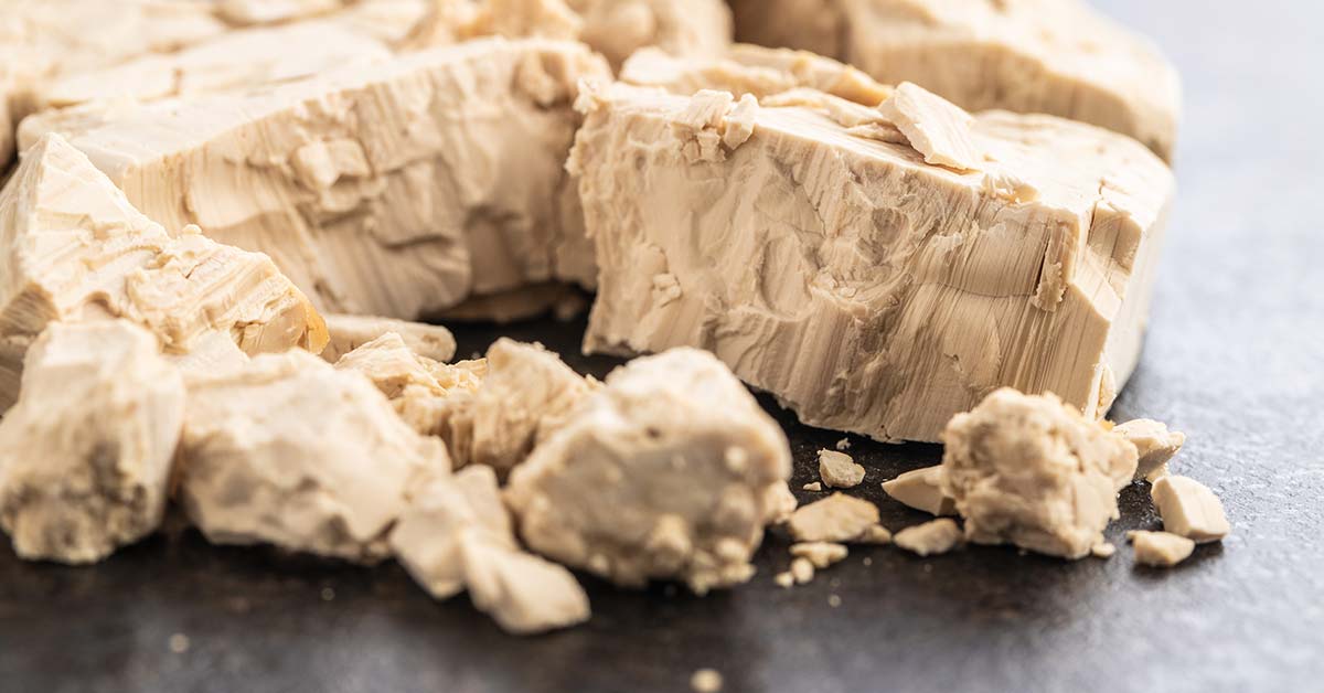 Saccharomyces Cerevisiae: How This Common Baking Ingredient is Being Used in Biofuel and Oleochemical Production