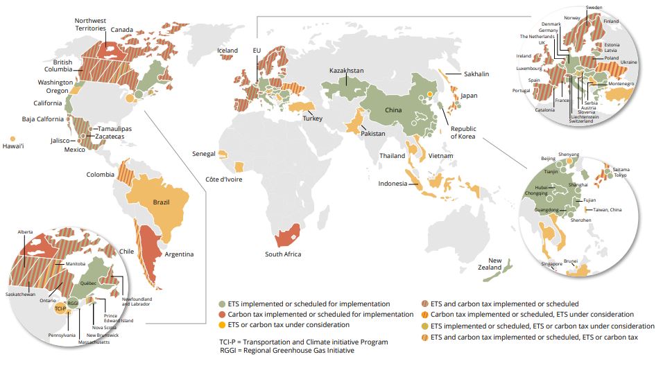 How Will the Increase in Carbon Markets Affect the P&P Industry?