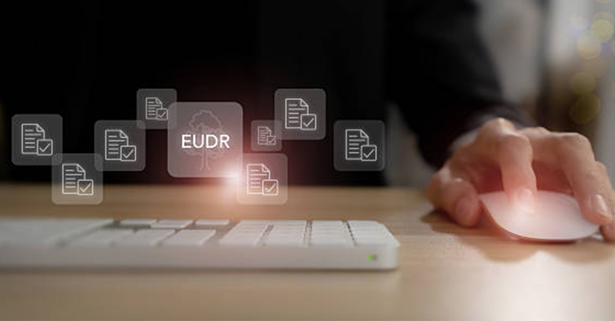 Going Beyond Compliance: How EUDR Gives US Producers a Competitive Edge