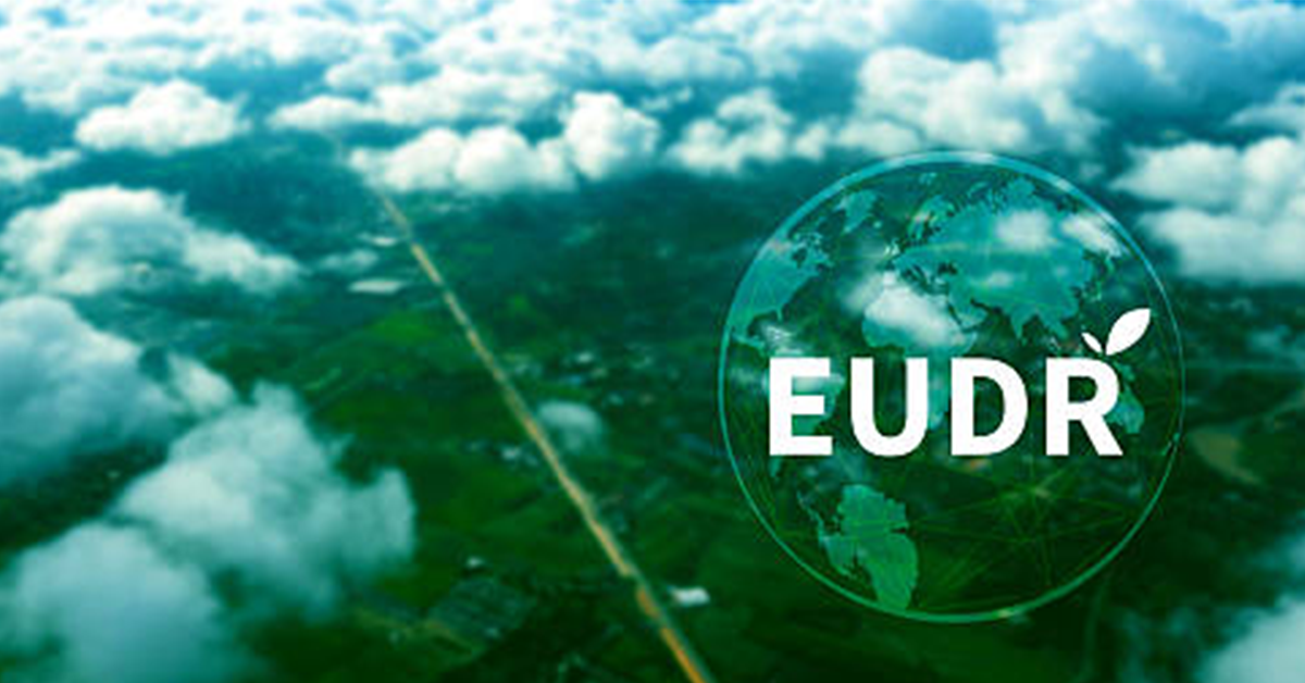 EUDR 2026: Industry Perspectives on What Comes Next