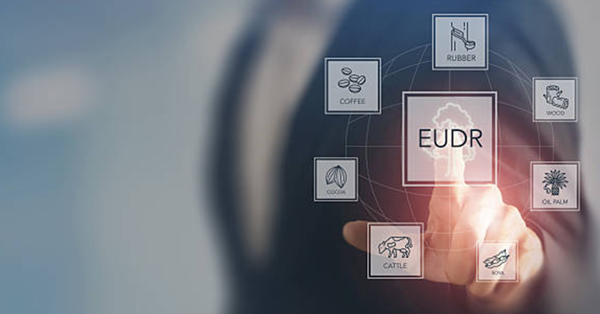 How EUDR Traceability Powers New Revenue in Carbon and Bioenergy Markets