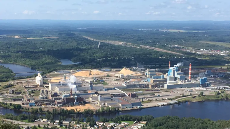 Paper Excellence’s Dryden and Thunder Bay Mill for Sale: What Could This Opportunity Mean for You?