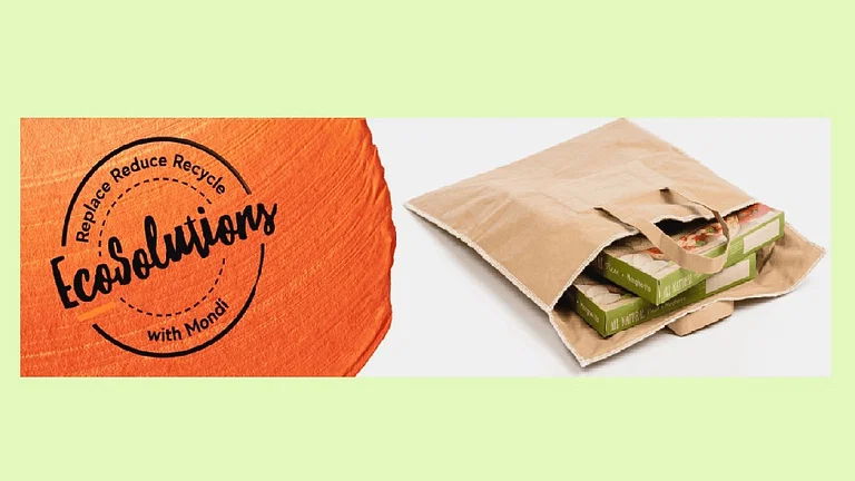 Image of mondi and fresh!packaging's cooler bag made with recyclable kraft paper.
