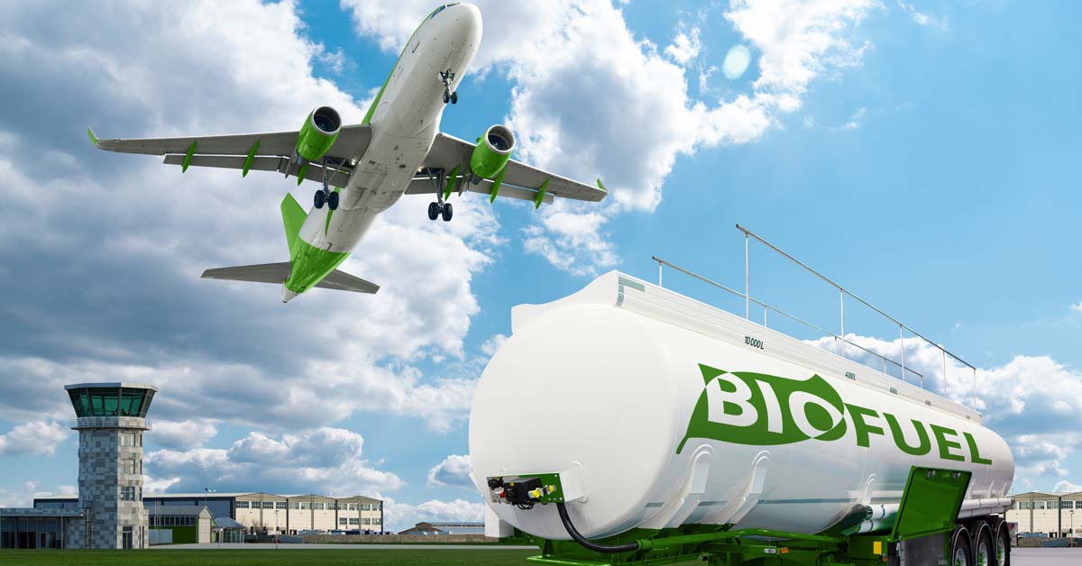 Everything You Need to Know About Biofuels