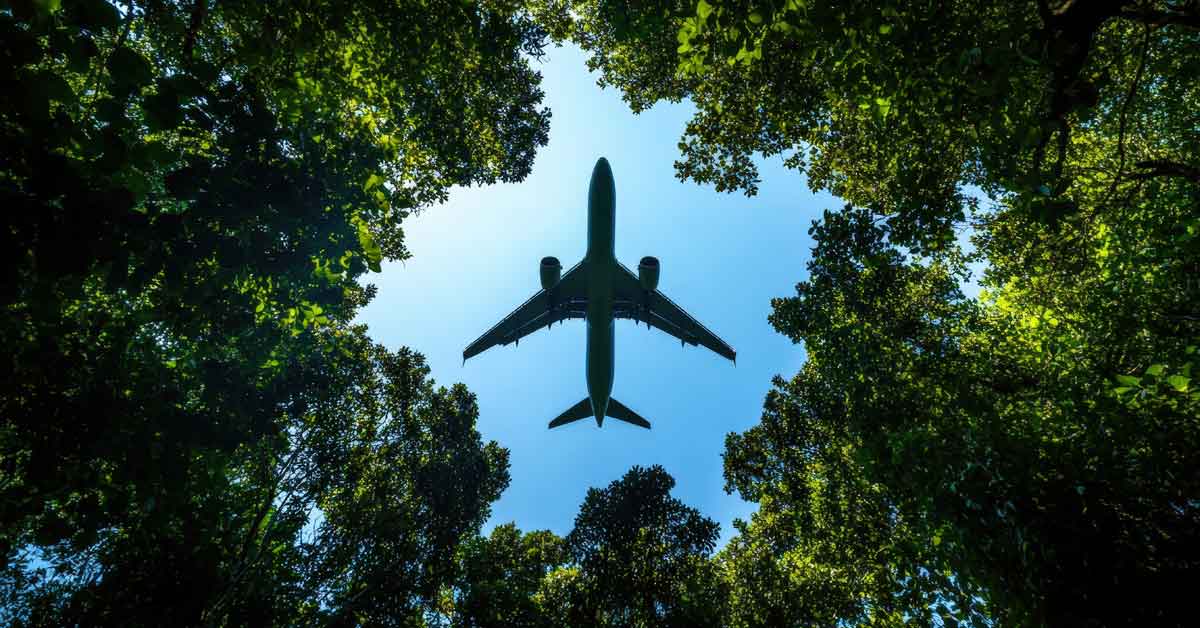 US SAF Update: Forestry Residue and Biogas Move Further into Spotlight