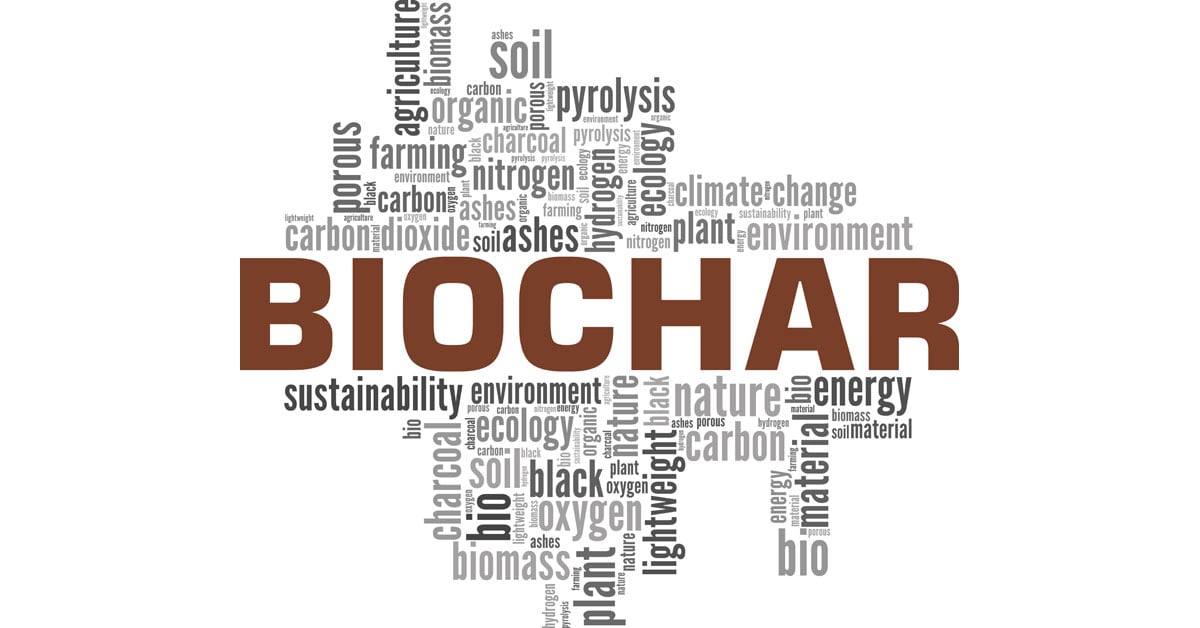 Biochar Takes Center Stage in New SC Renewable Diesel Facility