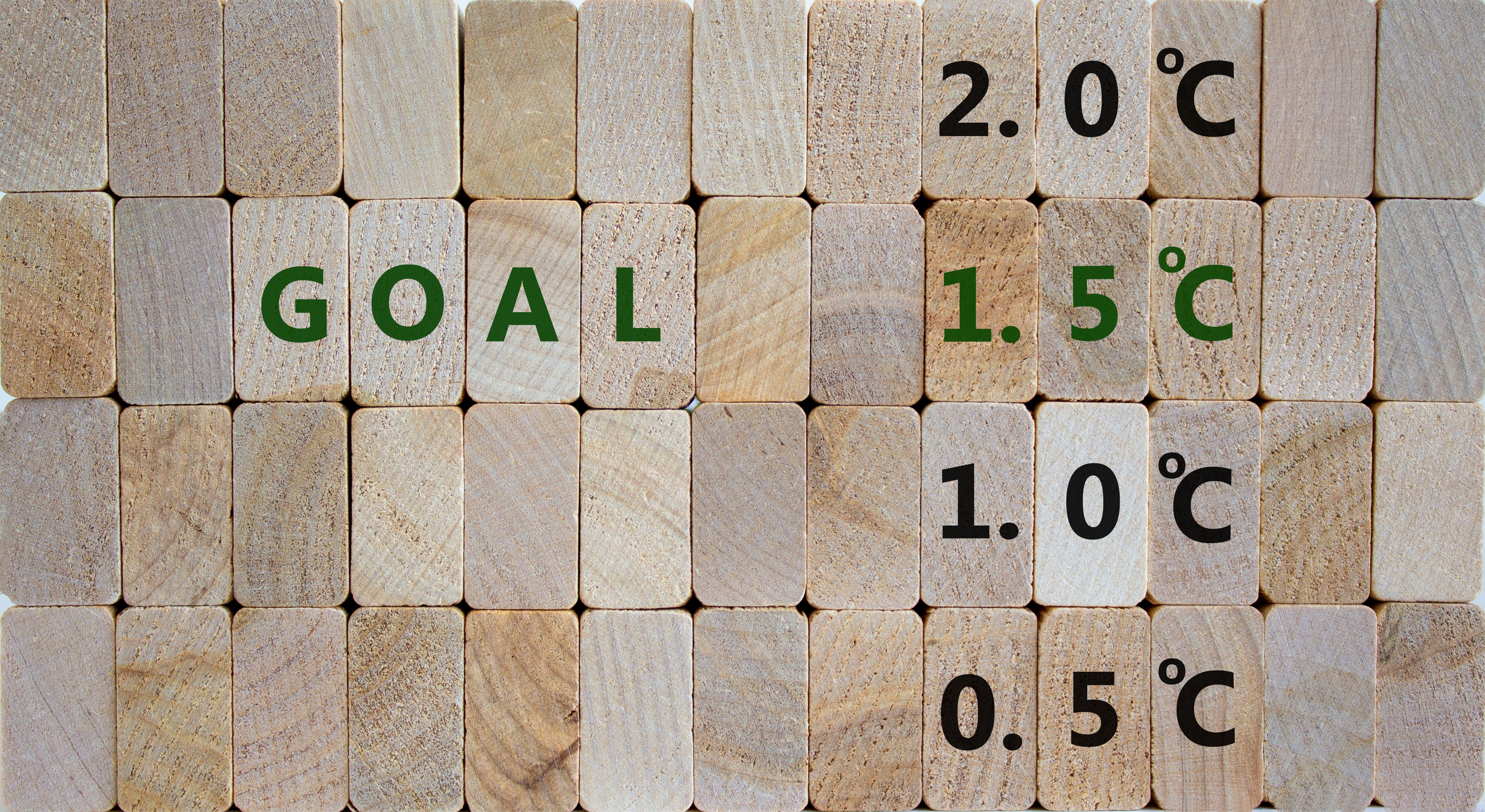 Wooden blocks spelling out goal and the global climate temperature threshold of 1.5 degrees Celsius.