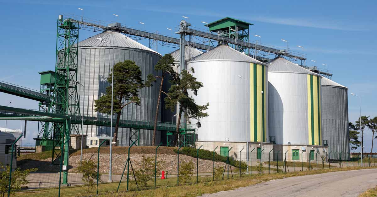 Why Renewable Diesel Margins Are Getting Harder to Understand