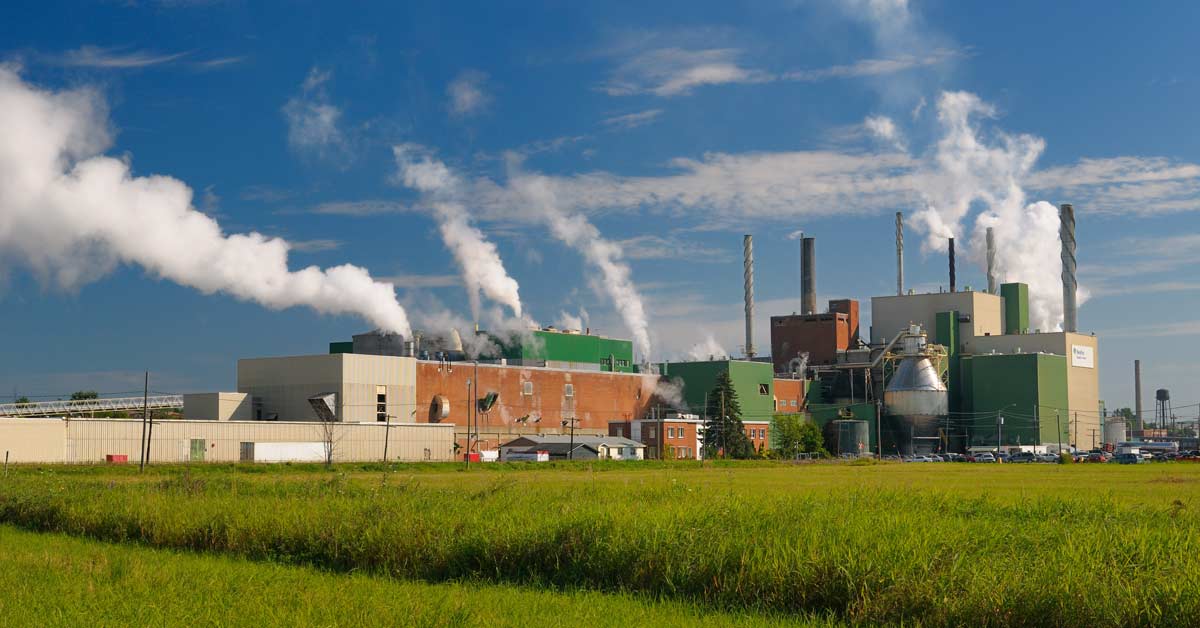 The Modern Pulp Mill Is Becoming a Low-Carbon Platform