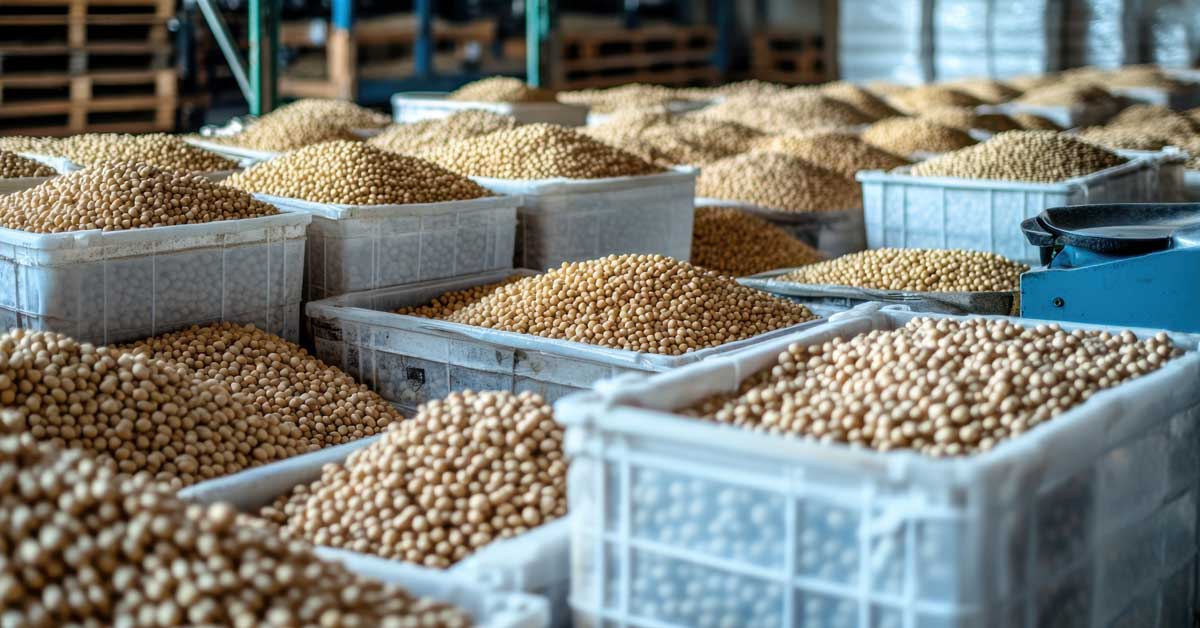 How Record D4 RIN Prices Are Redrawing the Global Soybean Value Chain