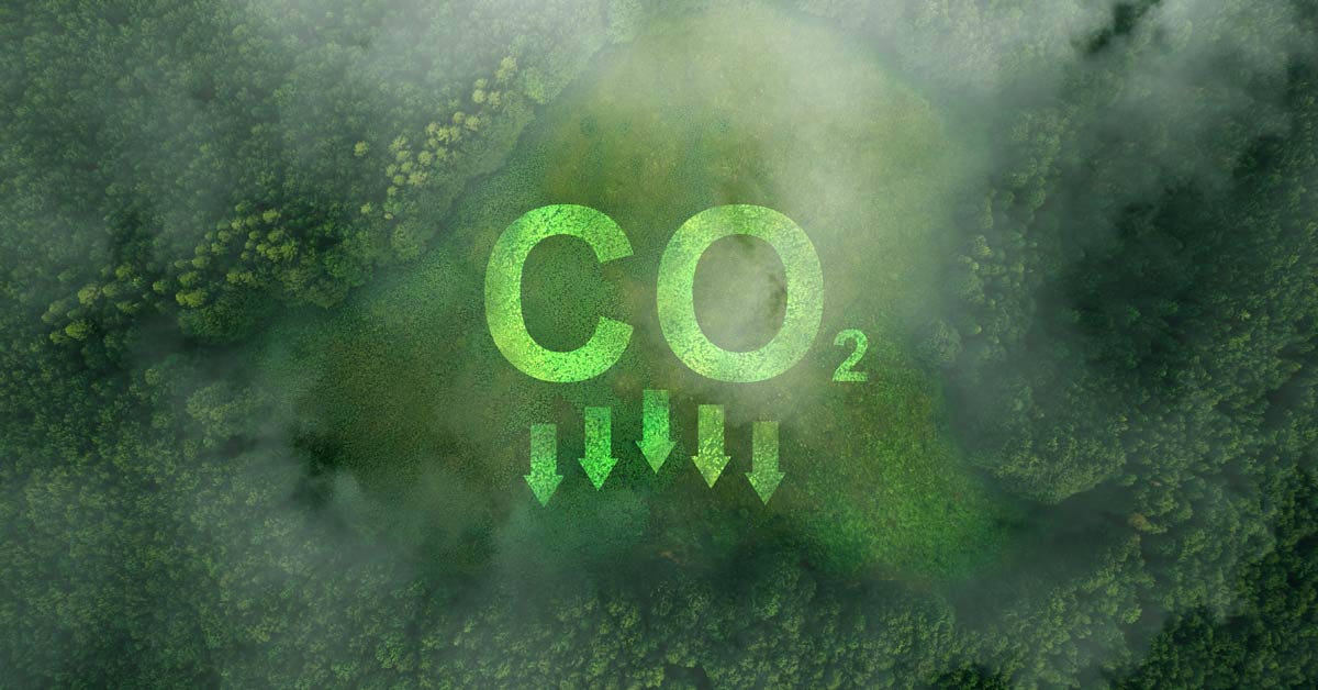 Carbon Removal Has Policy Momentum. Why Do Projects Still Struggle?