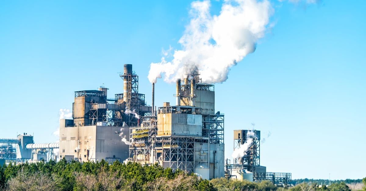What Used Cooking Oil Prices Tell Pulp Mills About Tall Oil Markets