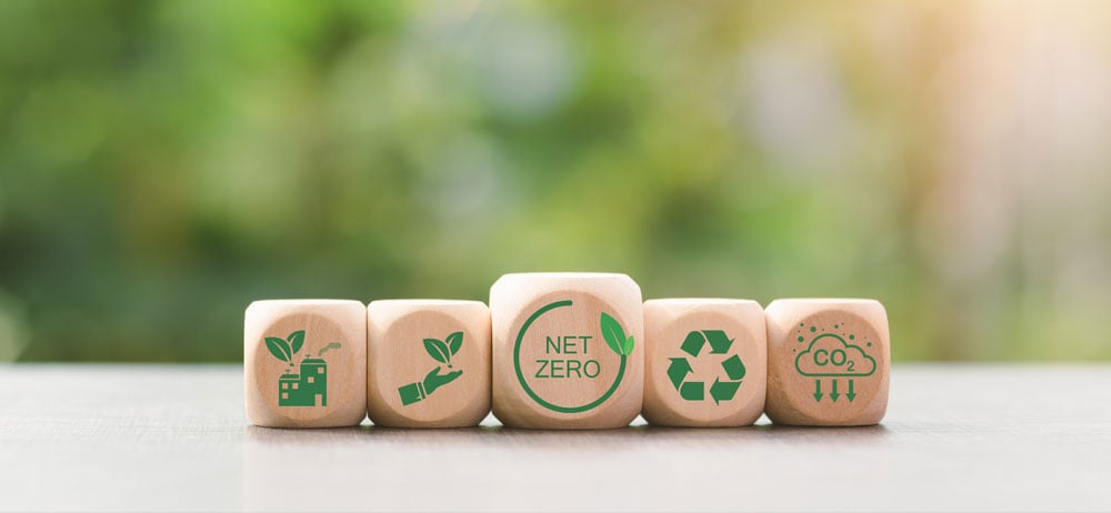 Sustainability Roundup: Pulp and Paper Initiatives Driving Market Leadership