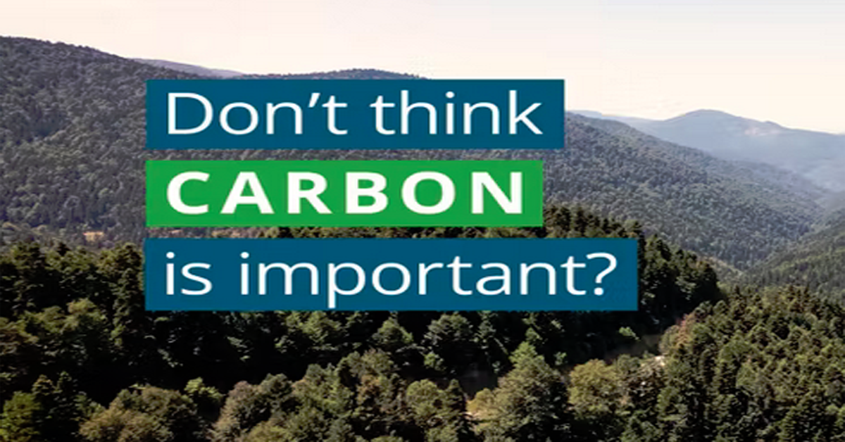 Think Carbon’s Not Important? Think Again