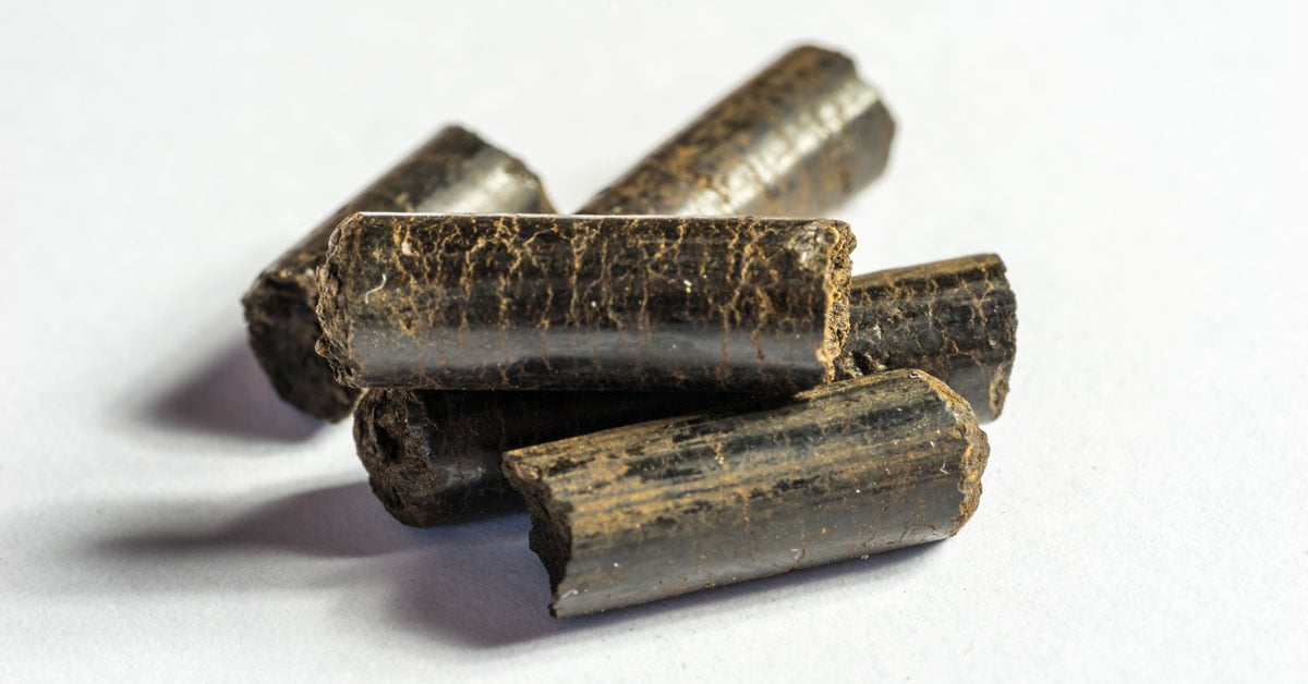 Torrefied Black Pellets: A Key Player in the Carbon Transition