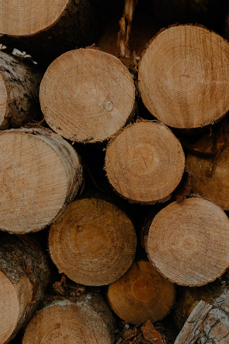 Front-facing close up of cut sawlogs.