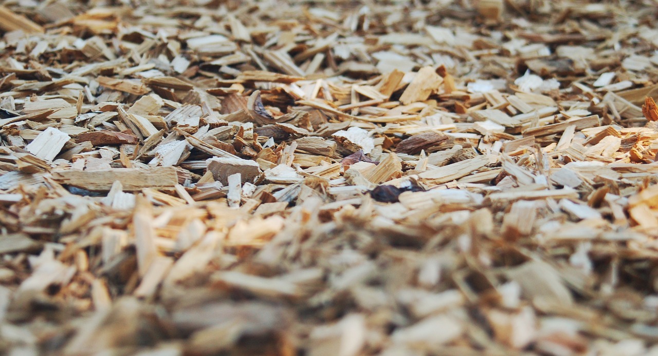 Texture of wood chips in both foreground and background.