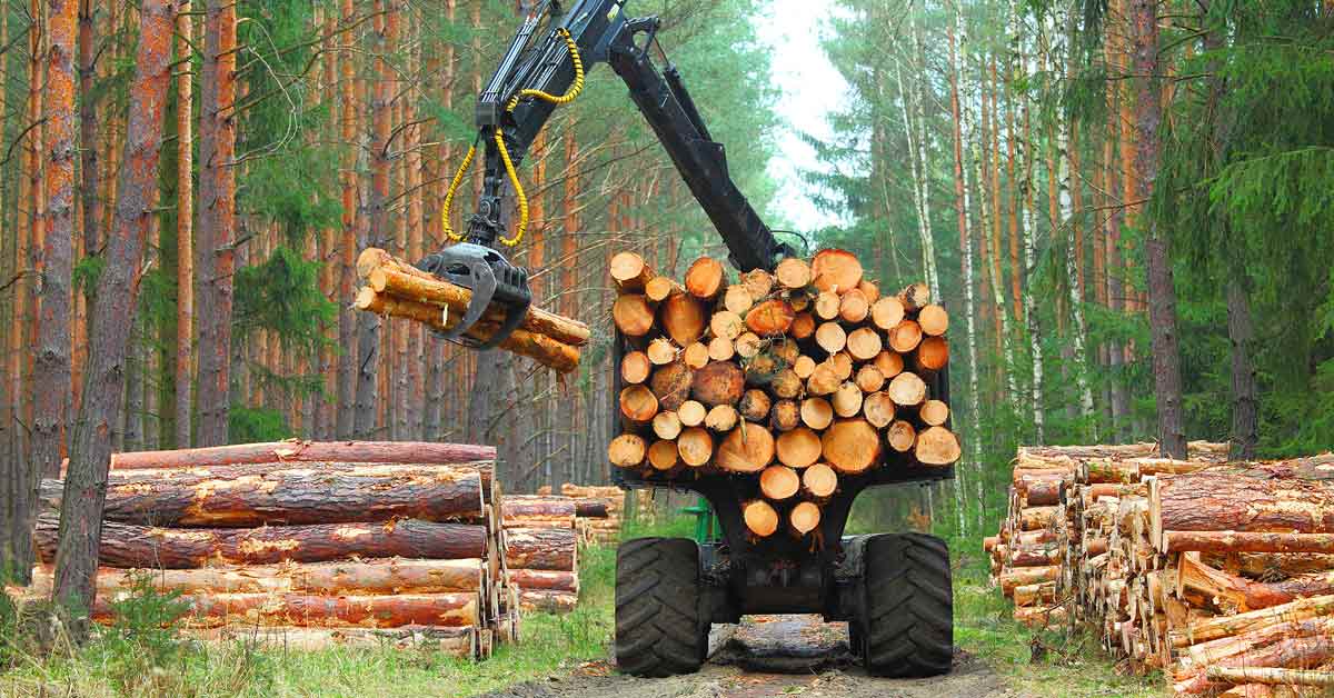 Further Declines in Manufacturing Will Impact Forestry