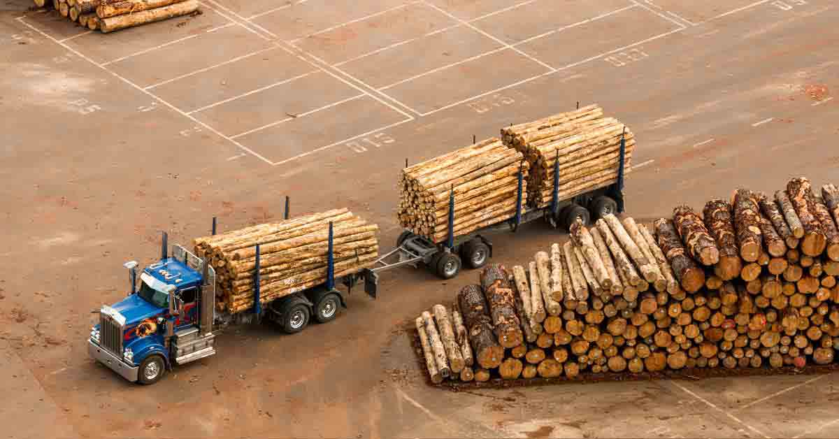 A truck carries logs out of a lumber processing yard.