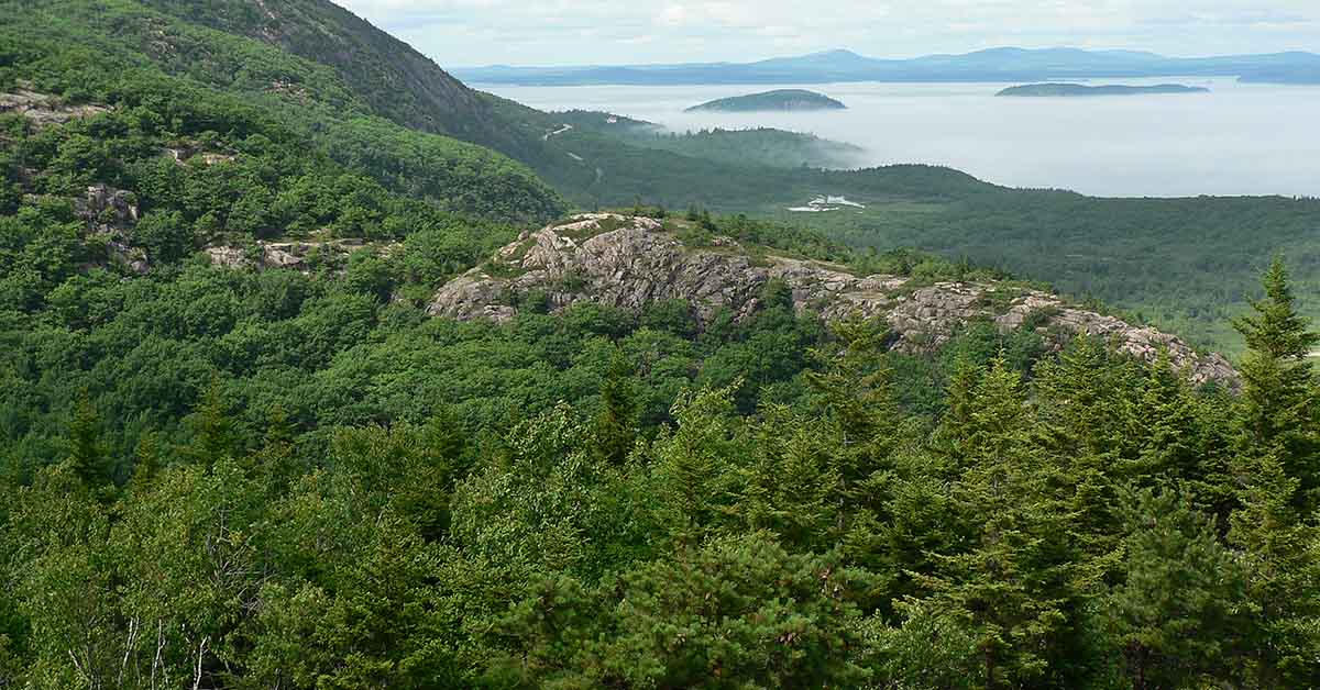 Maine Acadia Park forest and water.