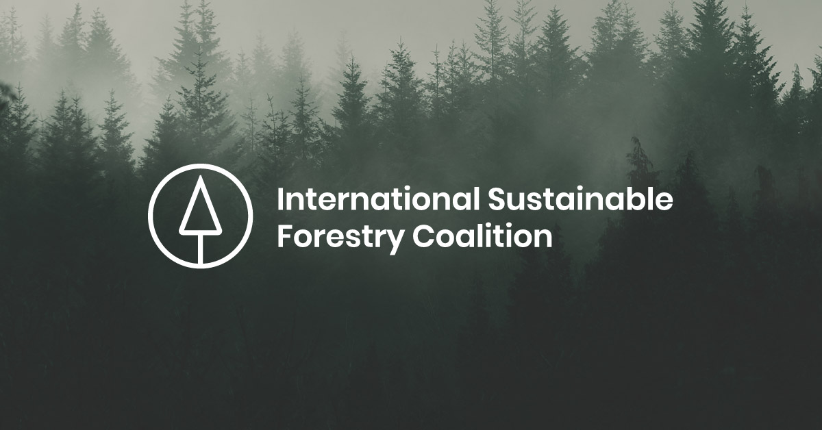 Logo of International Sustainable Forestry Coalition on a forested background. 