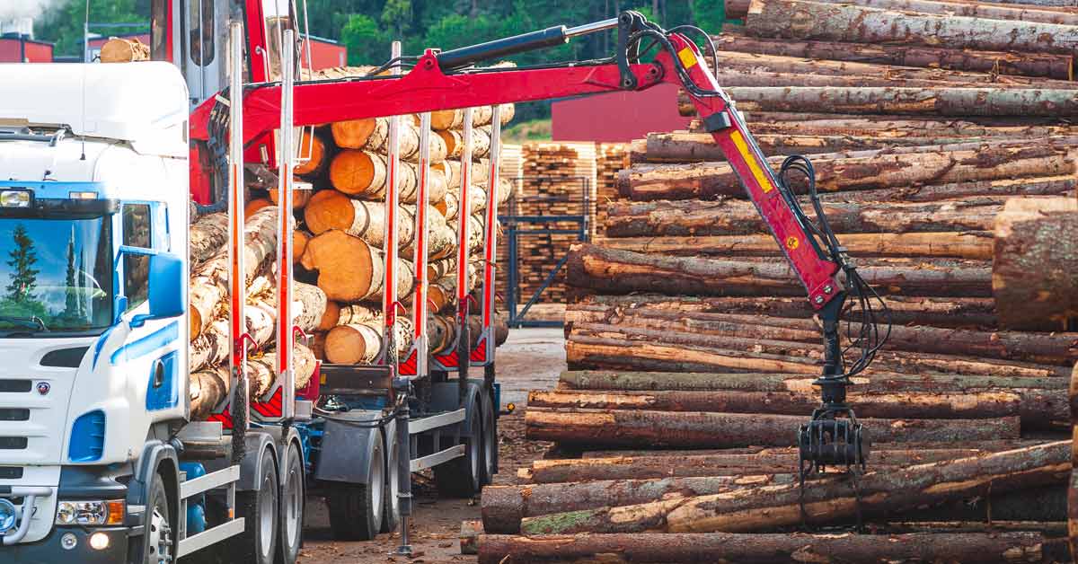 A lorry loading fallen timber at a Swedish lumber mill.