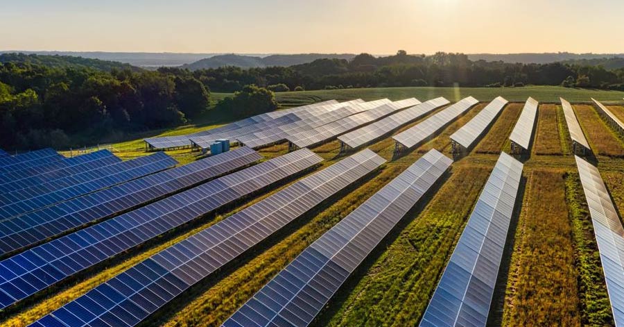 Rows of solar panels generating alternative energy. 