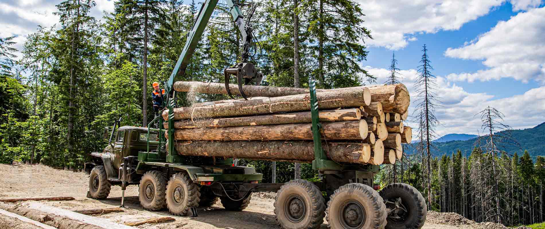 Boosting Mississippi's Forestry Industry: The Impact of New Federal Truck Weight Limits