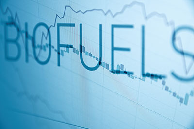 Chart with information on biofuel market data. 