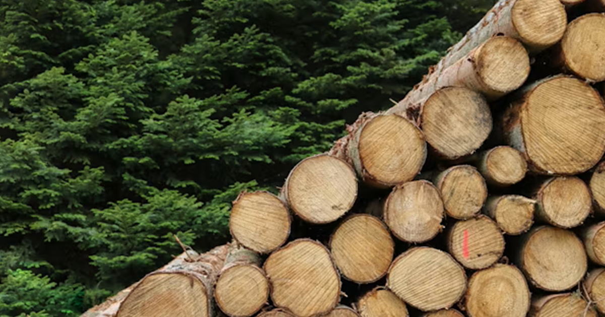 North American Lumber: Production Outpaces Demand Amid Housing Headwinds