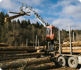 machine cutting trees